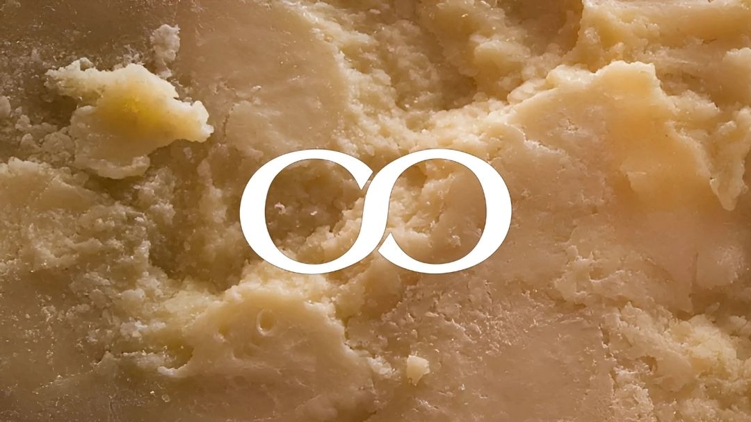 The Cheeseroom’s Expert Guide to Pasteurisation, Ageing, and Taste Profiles - The Cheeseroom